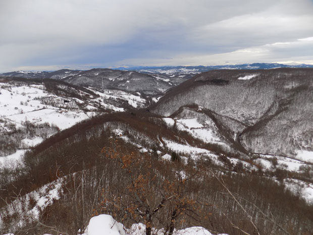Kапедунум, колевка Ужица
